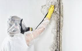 Best Dehumidification Services in Middleton, WI